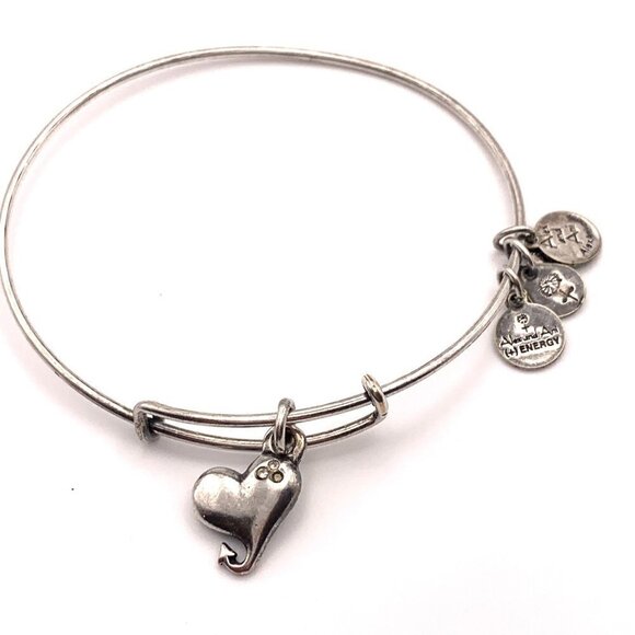 Alex and Ani Crystal Devil Heart Charm Bracelet Silver Finish - 2"-3.5” - Picture 1 of 2